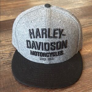 Harley-Davidson Gray and Black Cap